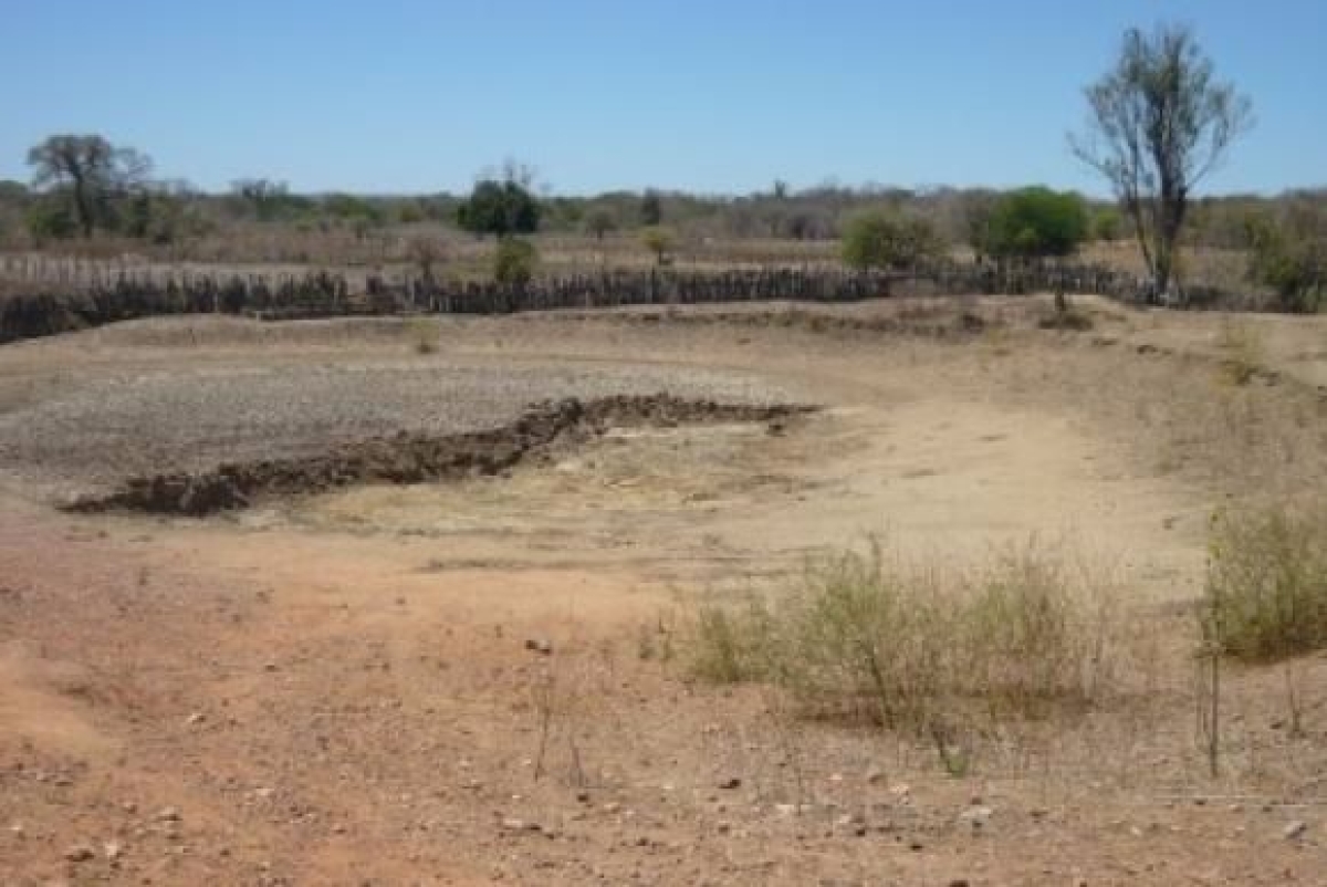 Seca na Bahia (Imagem: Defesa Civil da Bahia/Divulga��o)