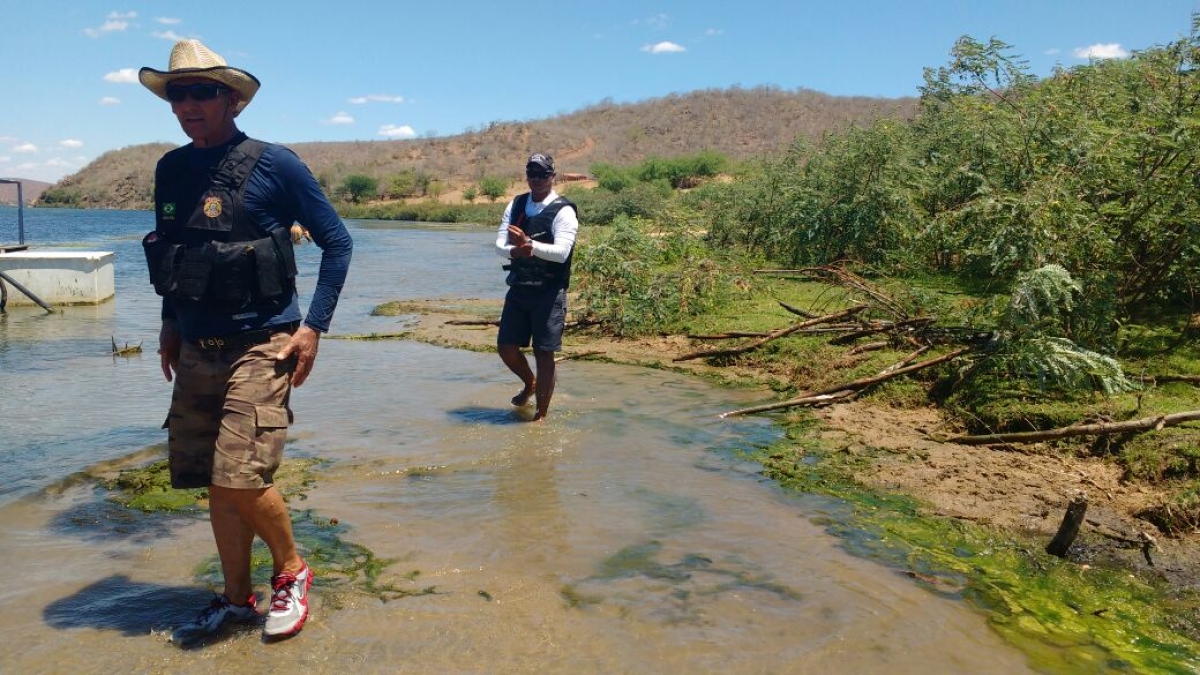 Equipe Aquática da FPI Sergipe retira cercas irregulares nas margens do rio São Francisco (Imagem: Assessoria FPI/SE)