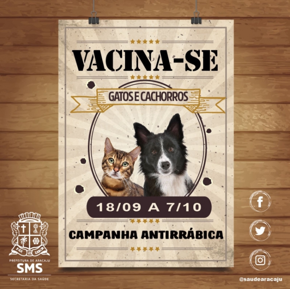 �?ltima etapa da Campanha de Vacinação Antirrábica acontece no próximo sábado, 7 (Imagem: SMS/Aracaju)