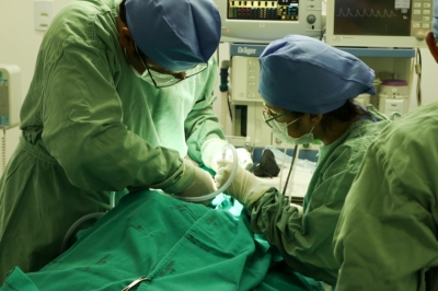 Serviço odontológico para pacientes com deficiências é aberto no Hospital Regional de Itabaiana (Foto: Ascom/SES)