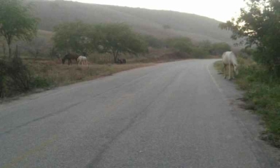 Registro feito por um internauta do site por volta das 16h30 no município de Porto da Folha (Foto: Pingou Notícias) 
