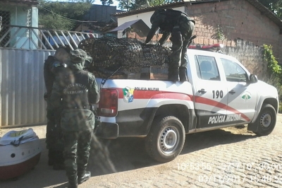 Pássaros são apreendidos em cativeiro após denúncias no povoado Sobrado (Foto: SSP)