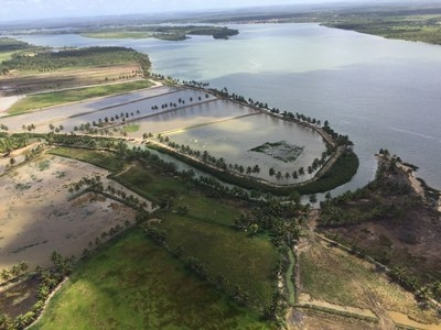 Prática de carcinicultura às margens do Rio São Francisco, em Sergipe (Foto: MPF/SE)