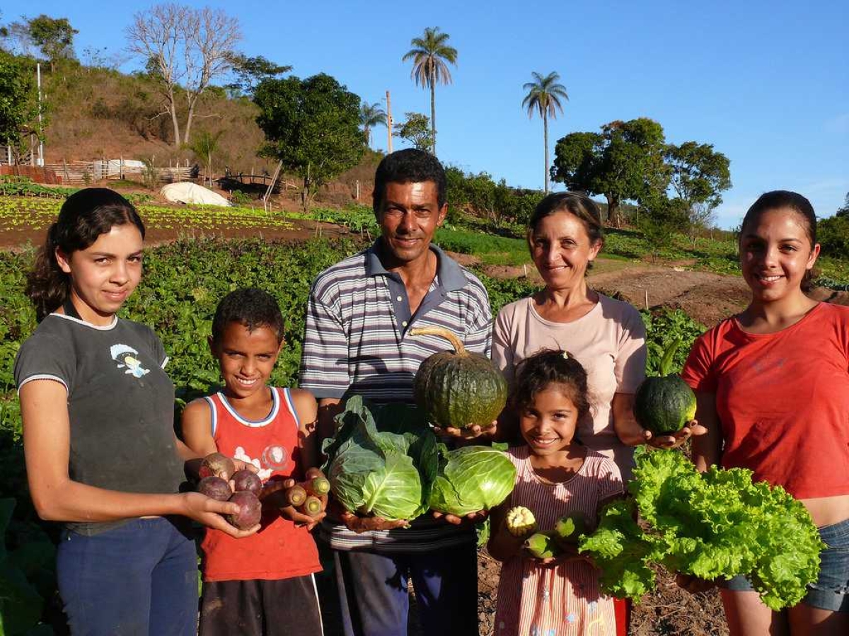 Termina dia 29 de novembro prazo para negociação de dívidas de projetos irrigados da Codevasf (Foto: Tamires Kopp/MDA)