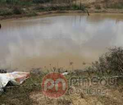 Irmãos morrem afogados na zona rural de Feira Nova (Foto: WhatsApp)
