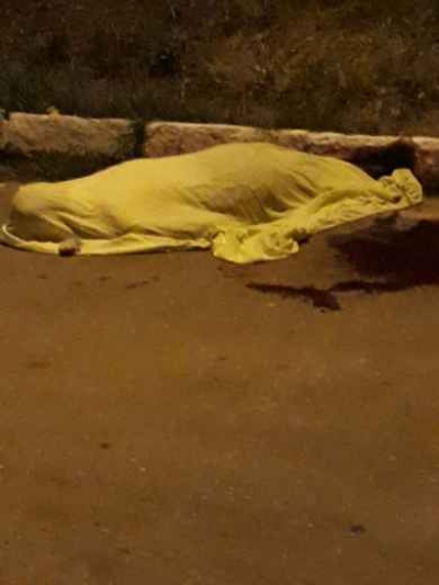 FEIRA NOVA: Homem é assassinado em via pública (Foto: Polícia Militar)