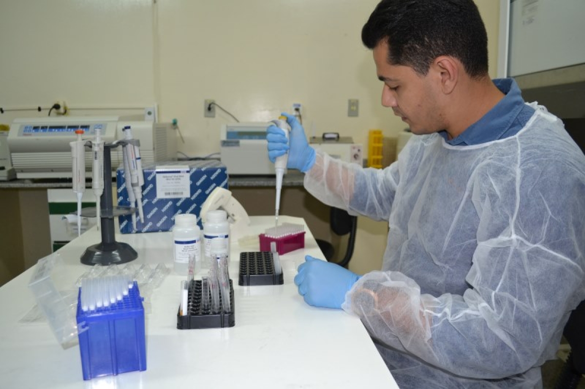 Cliomar Alves conta que o material é preparado para análise do virus da Febre Amarela (Foto: SES/SE)