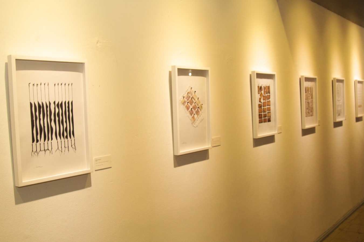 Exposição "Entre Linhas e Traços" é lançada na Galeria J. Inácio (Foto: Pritty Reis/Secult/SE)