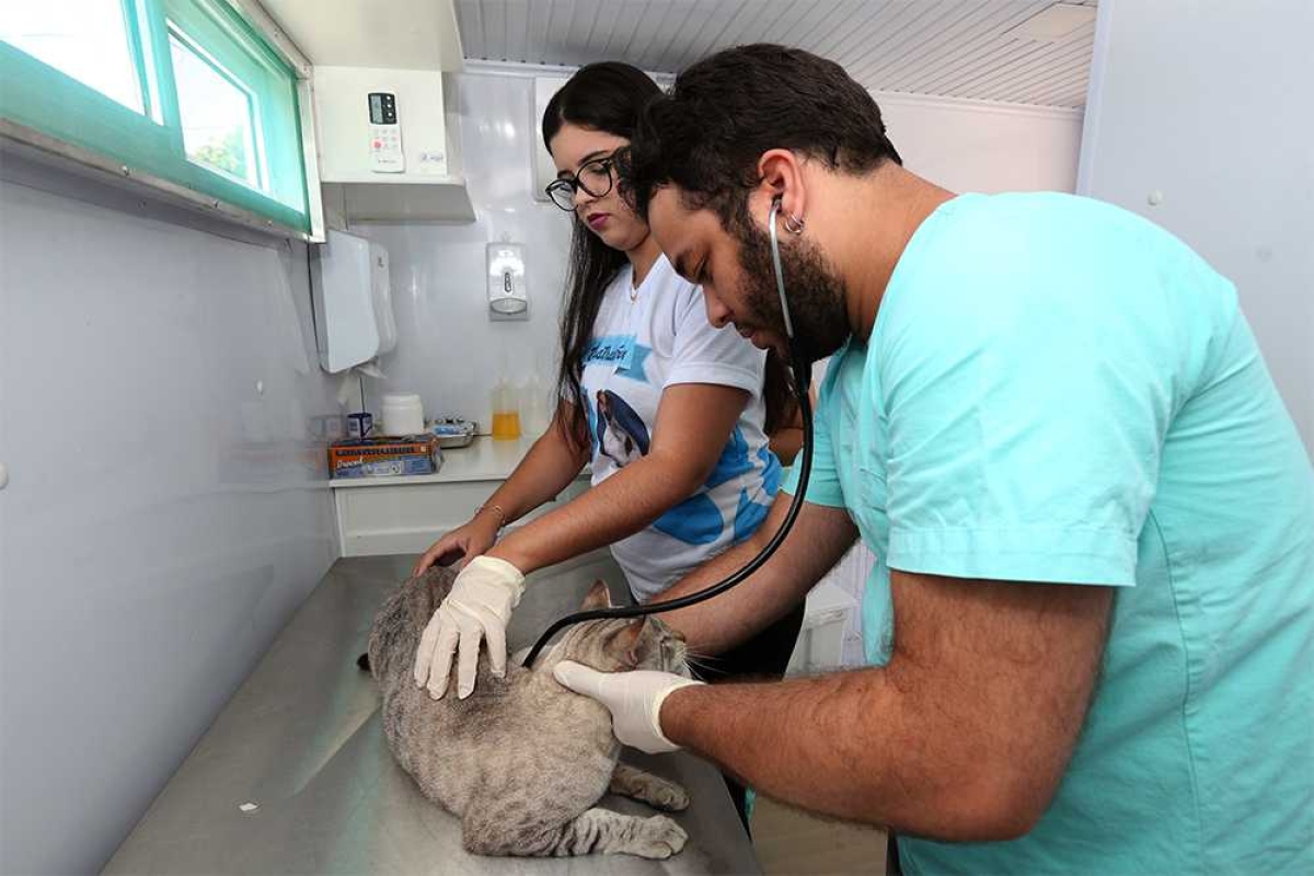 Castramóvel vai realizar procedimento em cerca de 90 animais no Santa Maria (Foto: Sergio Silva/PMA)