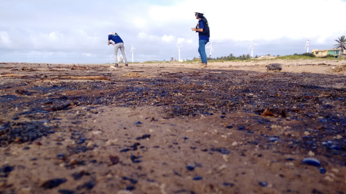 Durante vistoria, percebeu-se que cerca de 1km de faixa de areia foi atingido pelo composto derivado de petróleo (Foto: Adema)