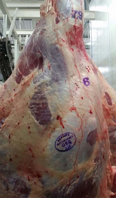 Selo de Inspeção Estadual SIE (Foto: Via Assessoria Frigoserrano Agroindustrial)