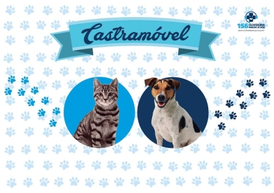 Castramóvel inicia cadastramento de animais no Santos Dumont nesta quarta-feira, 9/5 (Imagem: Divulgação/ SMS/Aracaju)