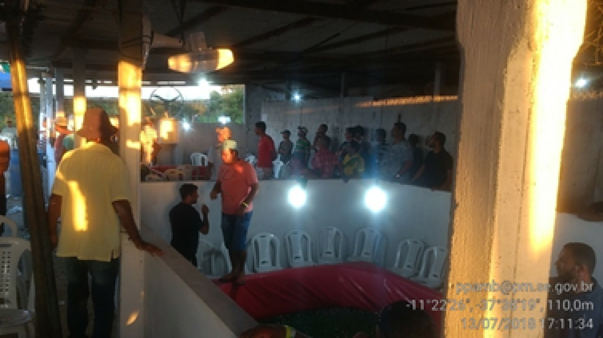 Polícia Militar flagra evento com grande estrutura para rinha de galo em Umbaúba (Foto: Assessoria PM/SE)