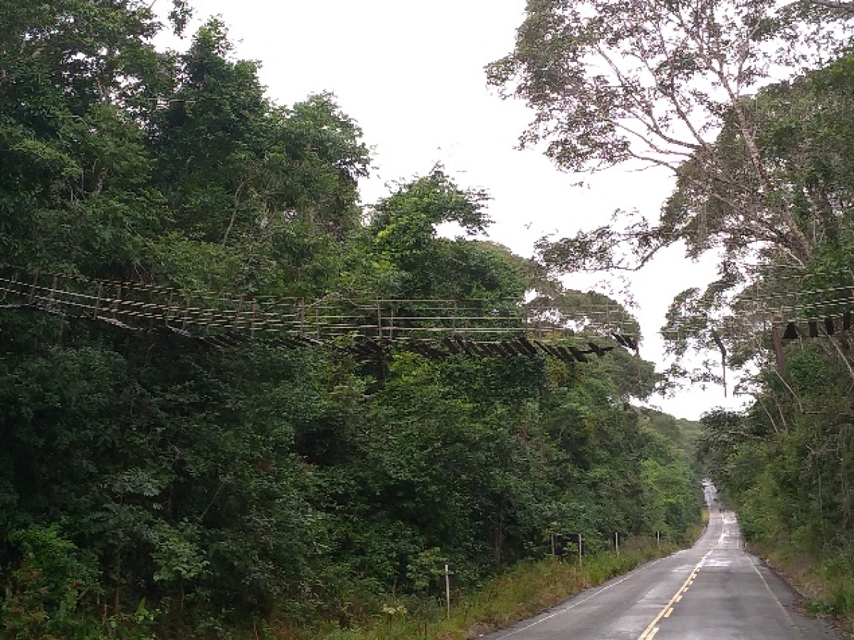 Rodovia de acesso a APA, litoral Sul de Sergipe (Foto: Assessoria BR-101/PE/AL/SE/BA)