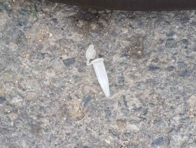 Moradores denunciam uso de drogas, sexo e disputa de racha em praça do município (Foto: Cedida por um morador/ Via Pingou Notícias)