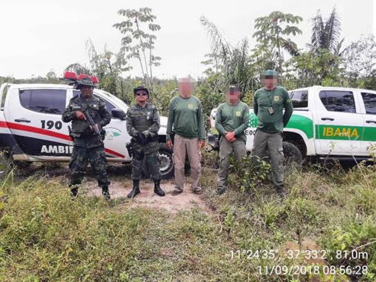 PM e Ibama flagram plantação com 150 pés de maconha em Santa Luzia do Itanhy (Foto: Assessoria PM/SE)