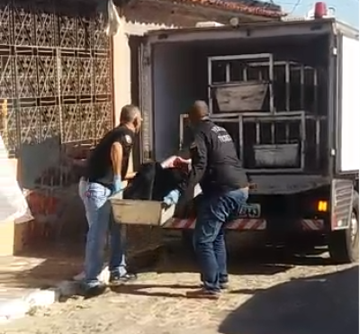 O homicídio aconteceu na residência do adolescente (Imagem: Reprodução de vídeo)