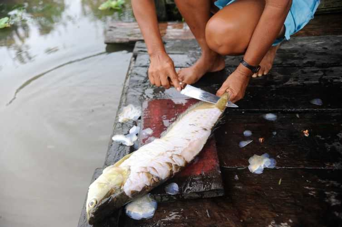 Pelos rios próximos à capital amazonense é comum encontrar pescadores nas portas das casas (Foto: Tomaz Silva/ Arquivo Agência Brasil)
