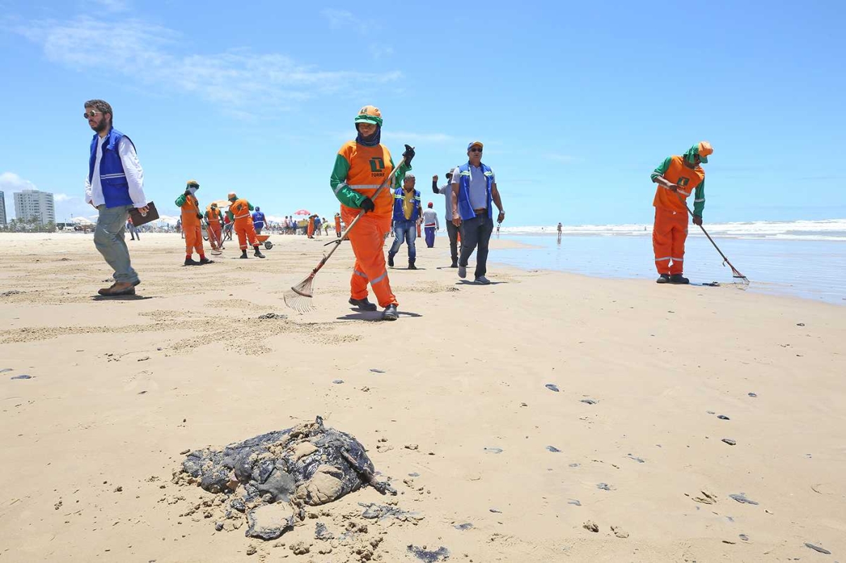 Força tarefa intensifica monitoramento e limpeza para conter mancha de óleo (Foto: Marcelle Cristinne/ Prefeitura de Aracaju)
