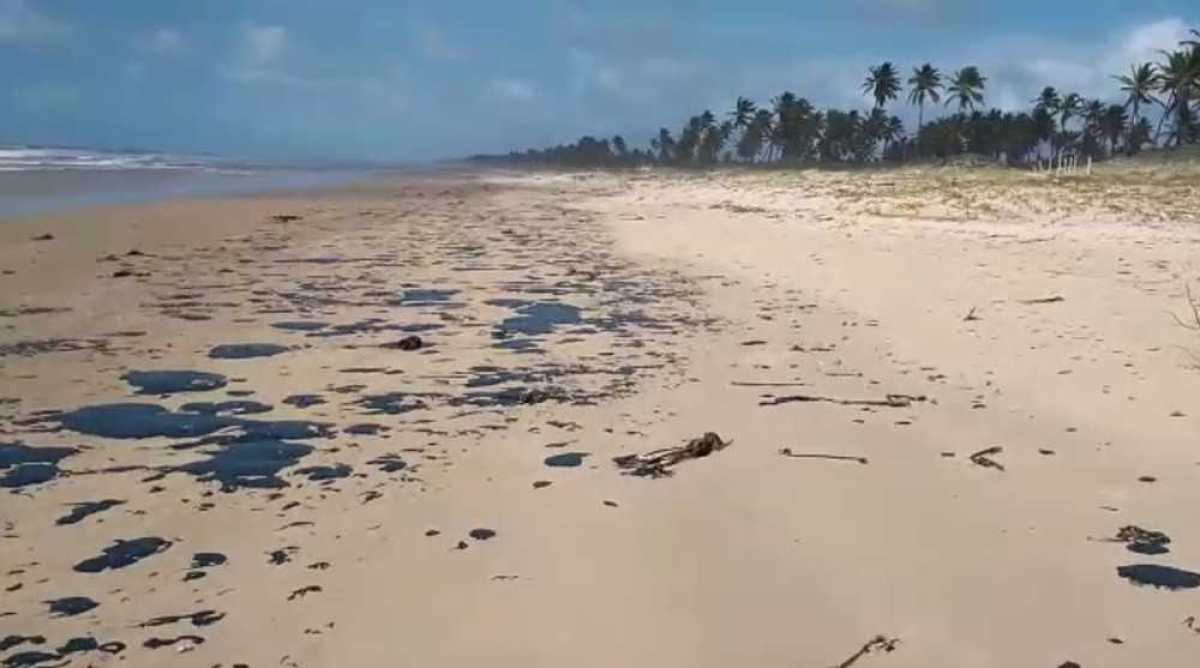 �?leo continua se espalhando e atinge novas praias de Pernambuco (Foto: João Arthur/ Tamar)