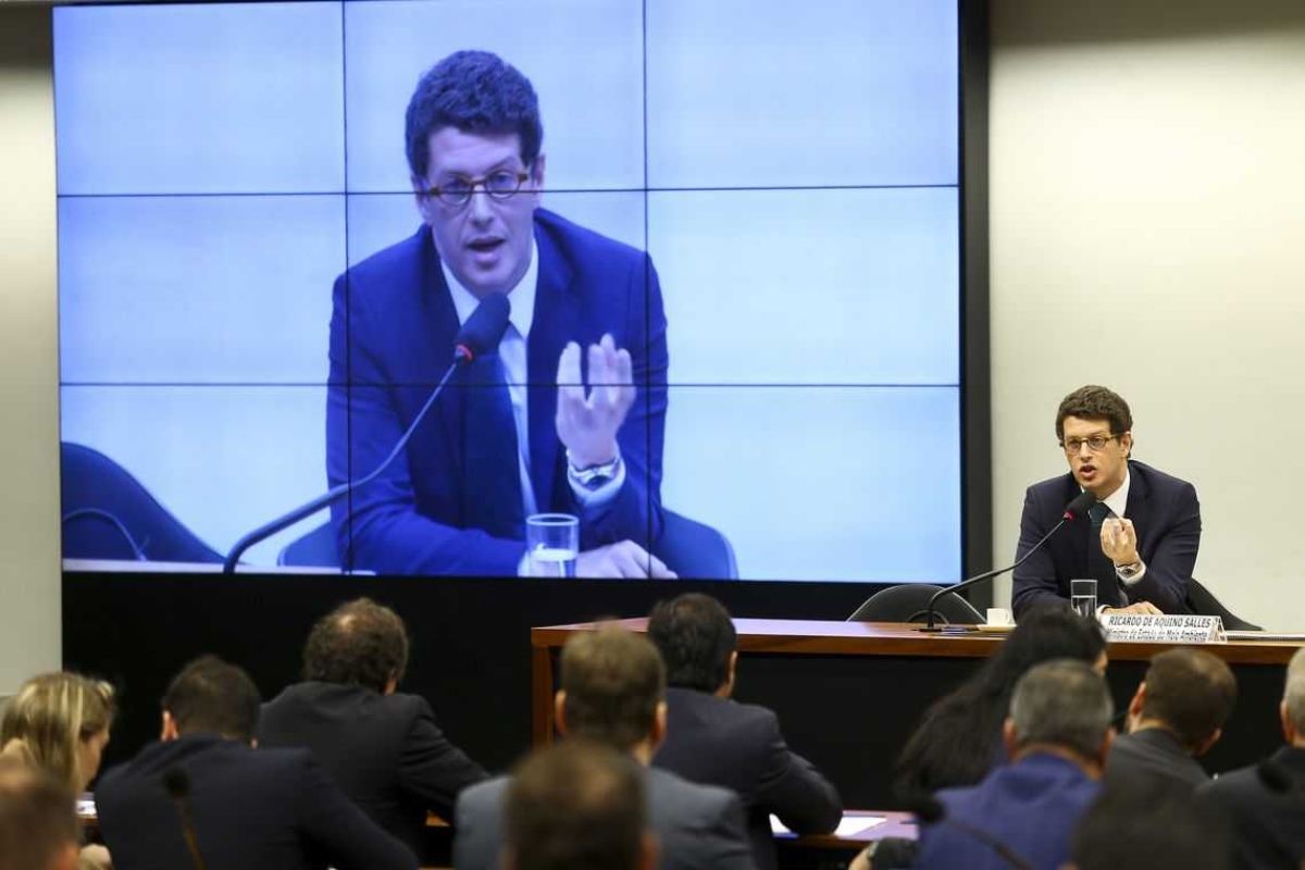 Ministro do Meio Ambiente, Ricardo Salles (Foto: Marcelo Camargo/ Agência Brasil)