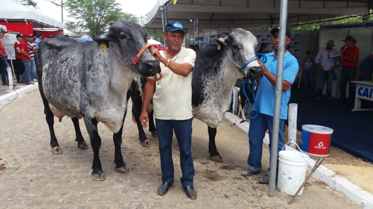 Expo Ouro Branco em Nossa Senhora da Glória (Foto: Via Assessoria do Evento)