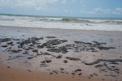 �?leo na praia de Pirambu (Foto: Agência Sergipe de Notícias)
