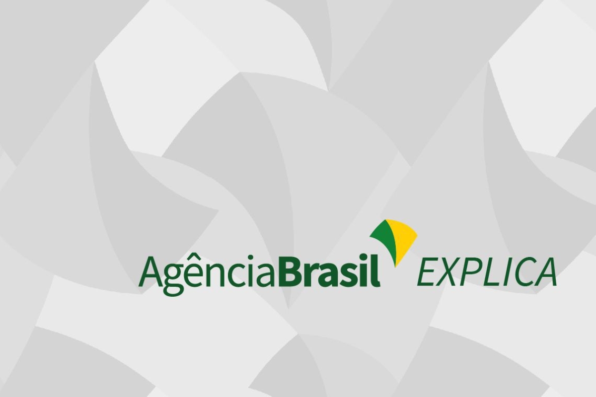 Agência Brasil explica: quem pode ser um microempreendedor individual? (Imagem: Agência Brasil)