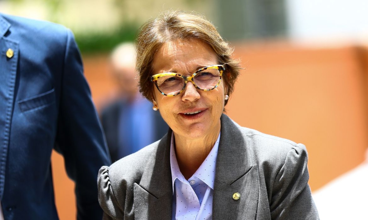 Ministra diz que Brasil pode intensificar produção sem derrubar árvore (Foto: Marcelo Camargo/ Agência Brasil)