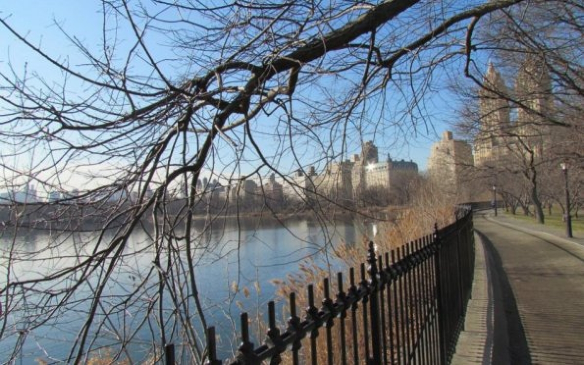 Central Park no inverno: natureza ao lado dos arranha-céus (Foto: Carla Passos)