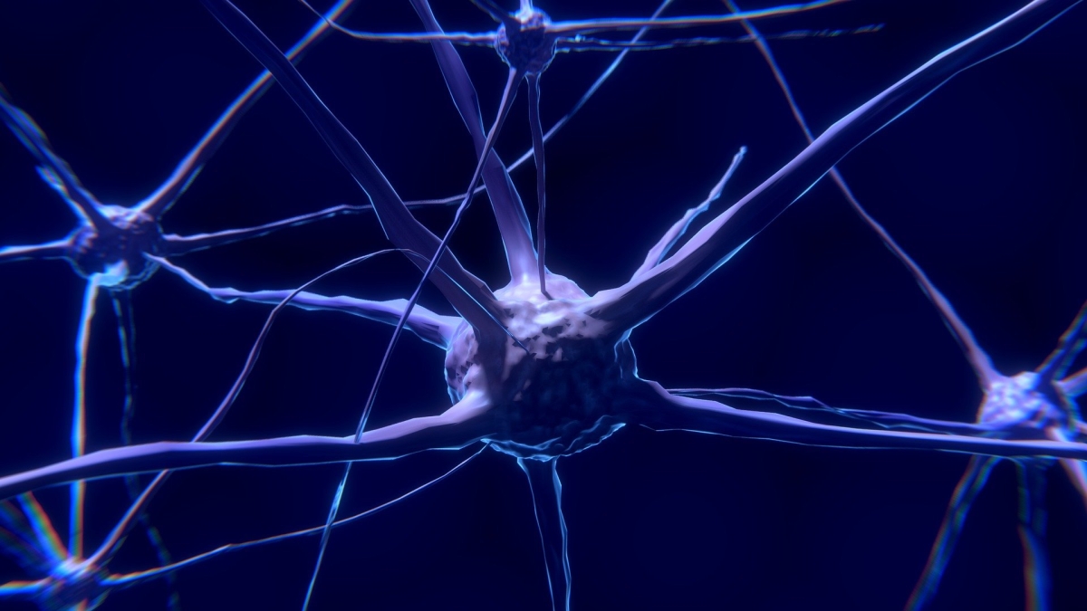 Estudo encontra novos indícios de que Covid-19 afeta neurônios (Foto: Olhar Digital)