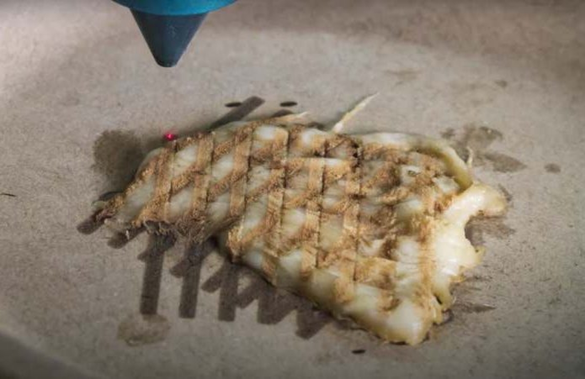 Frango grelhado impresso em 3D seria a comida do futuro? (Foto: Olhar Digital)