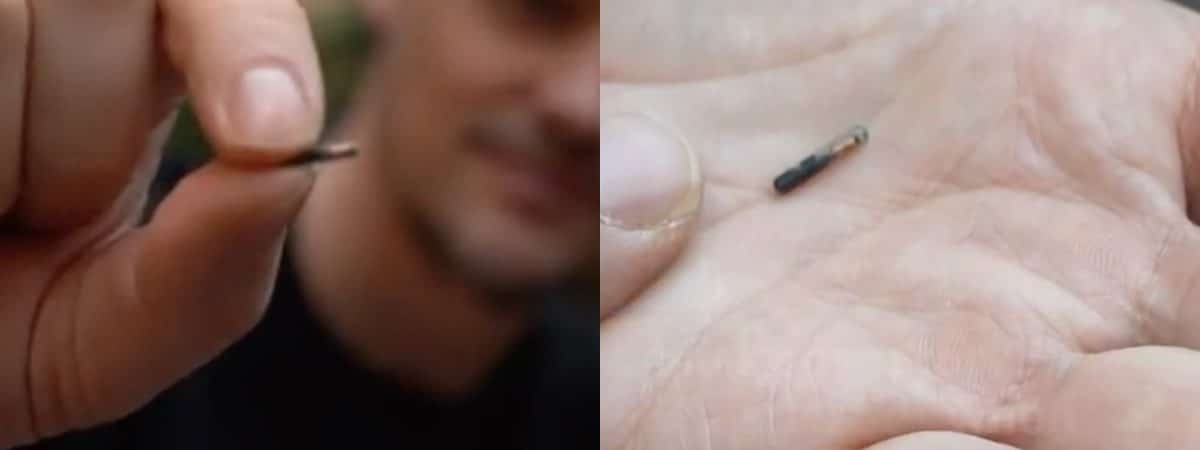 Empresa revela microchips que podem ser implantados para armazenar dados de vacinação (Imagem: Olhar Digital)