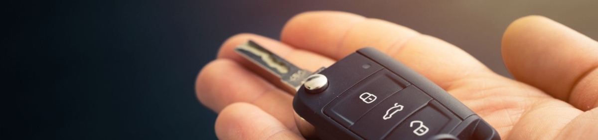 Transferência de veículos pelo app de carteira digital estreia em março; entenda como funciona (Foto: Olhar Digital)