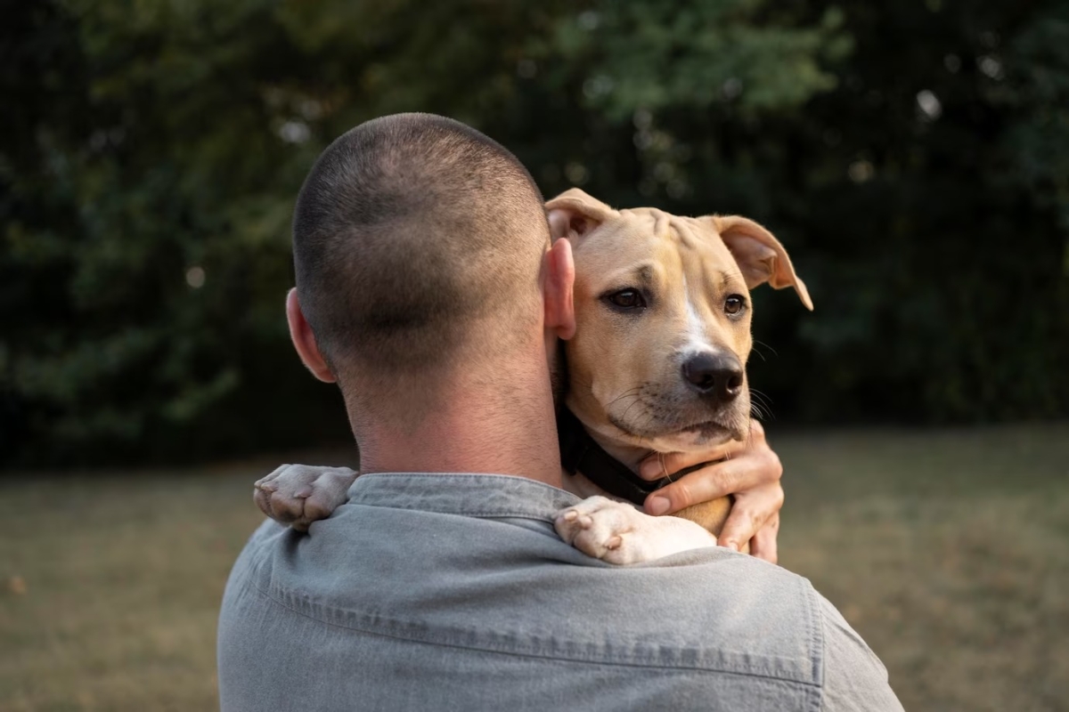 Saiba como funciona a guarda compartilhada de animais após separação dos tutores - Foto: Asscom Unit