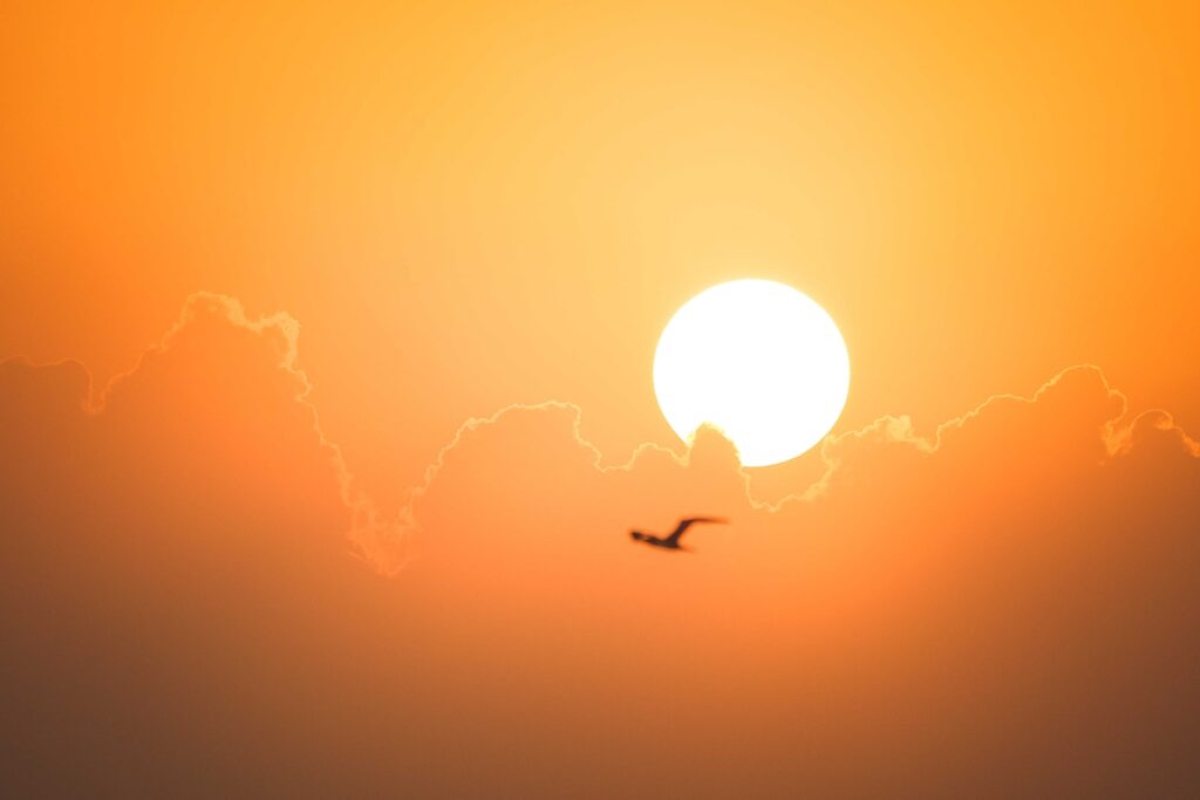 Onda de calor excepcional - Foto ilustrativa: Pexels