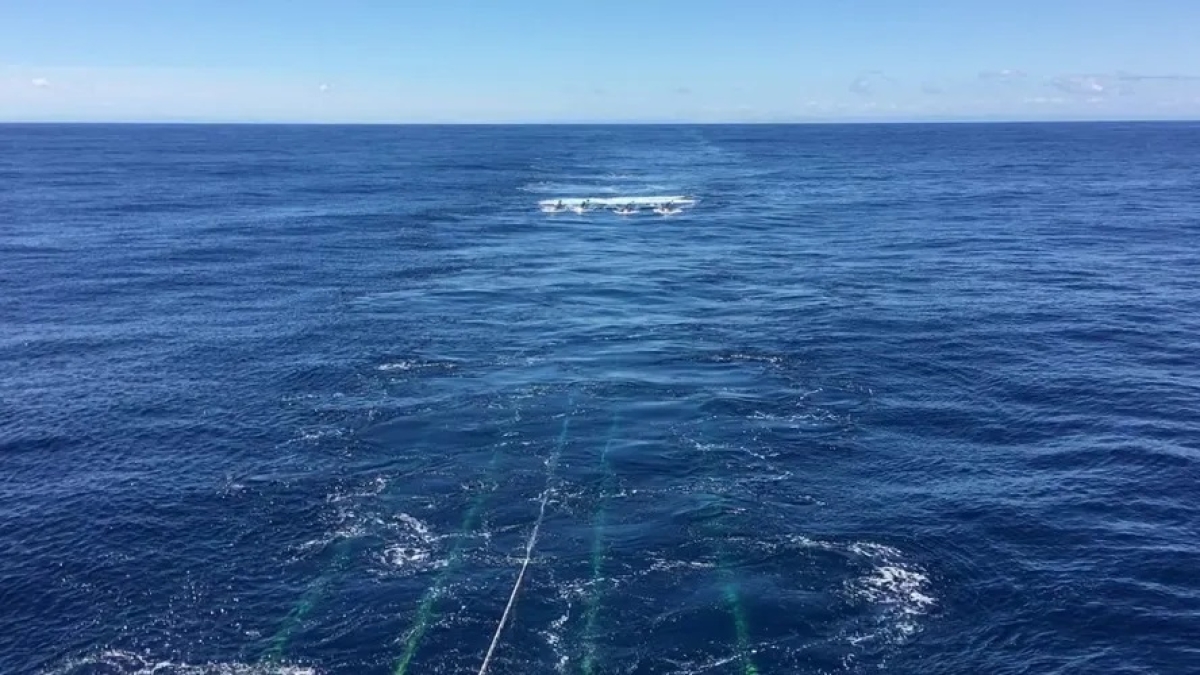 Instrumento de imagem sísmica segue atrás de um navio de pesquisa durante um levantamento da zona de subducção de Hikurangi, na Nova Zelândia - Foto: University of Texas Institute for Geophysics | Adrien Arnulf