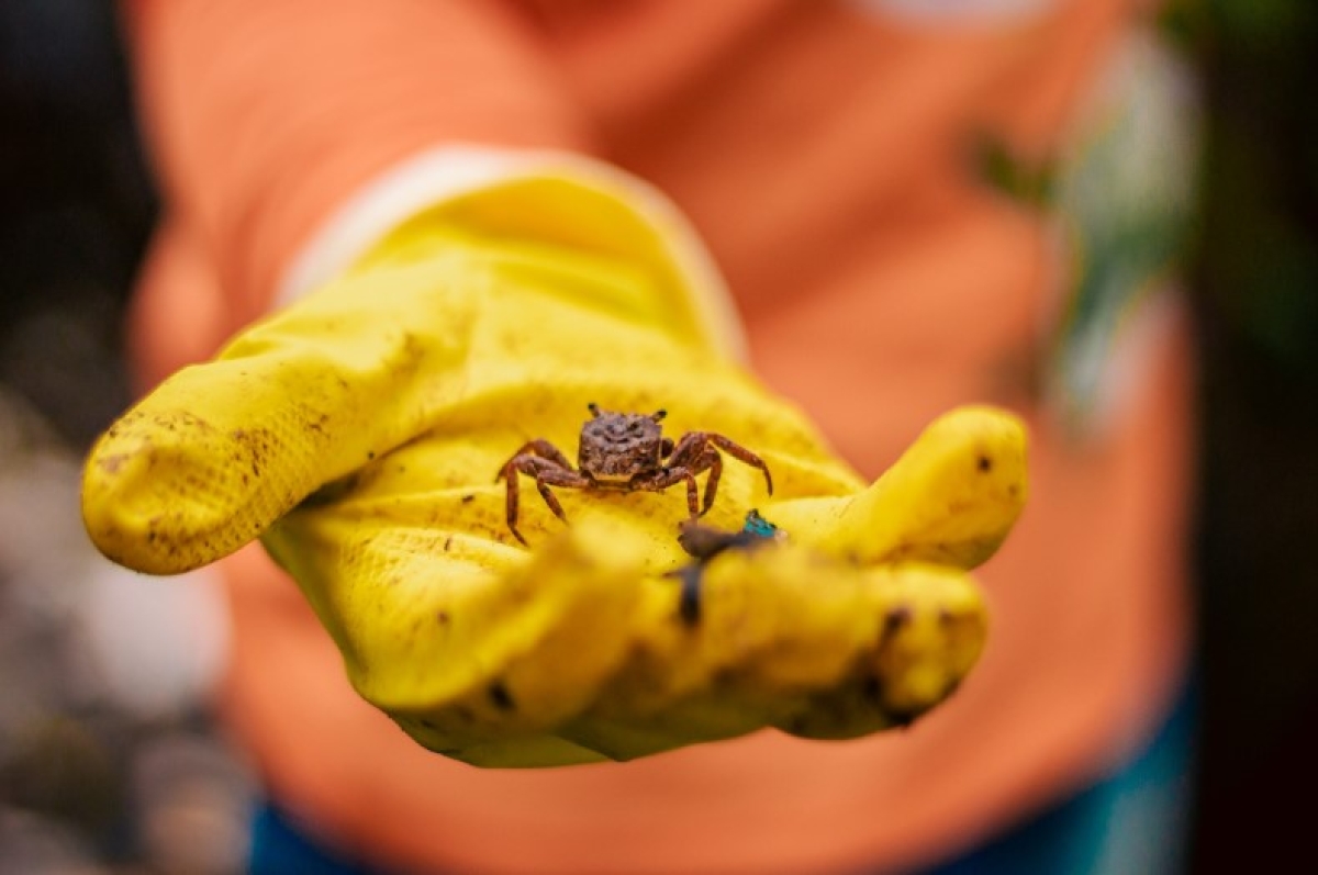 Jogando Limpo com o Mangue - Foto: Arquivo RioMar Aracaju