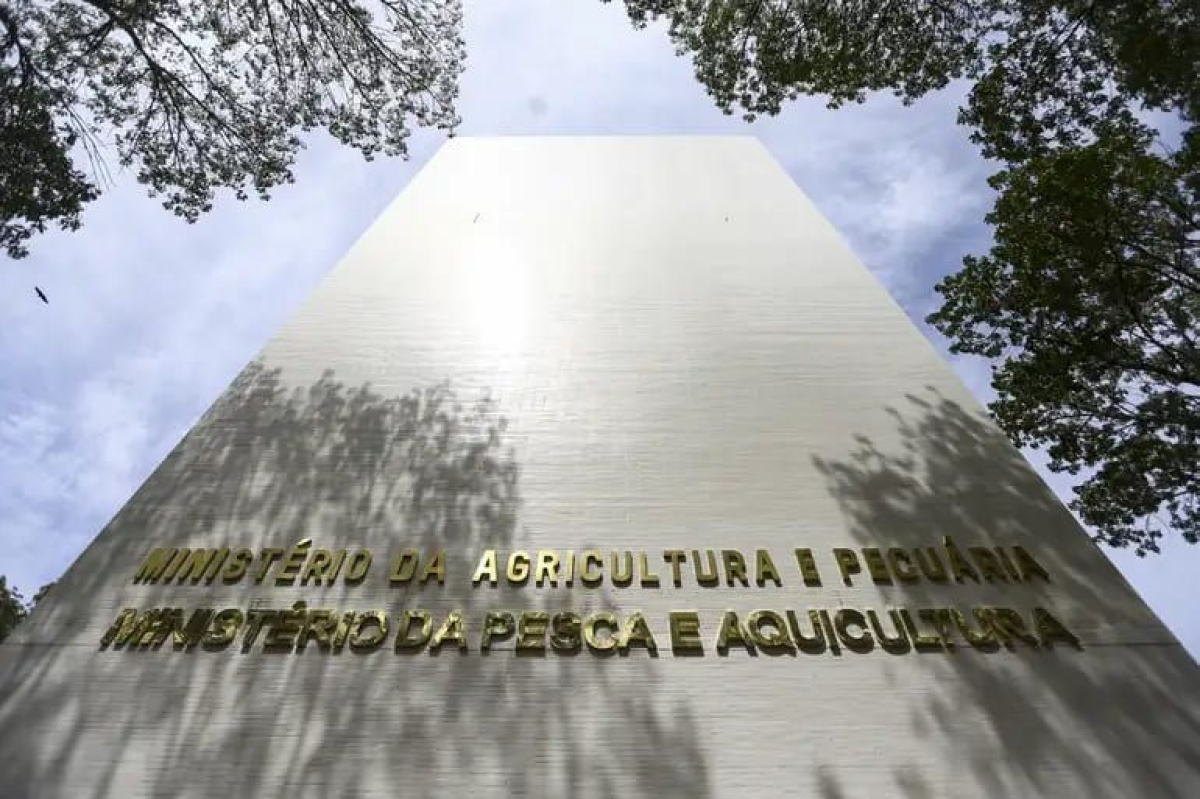 Ministério da Pesca abre as inscrições para concurso; veja vagas e salários - Foto: Marcelo Camargo/Agência Brasil
