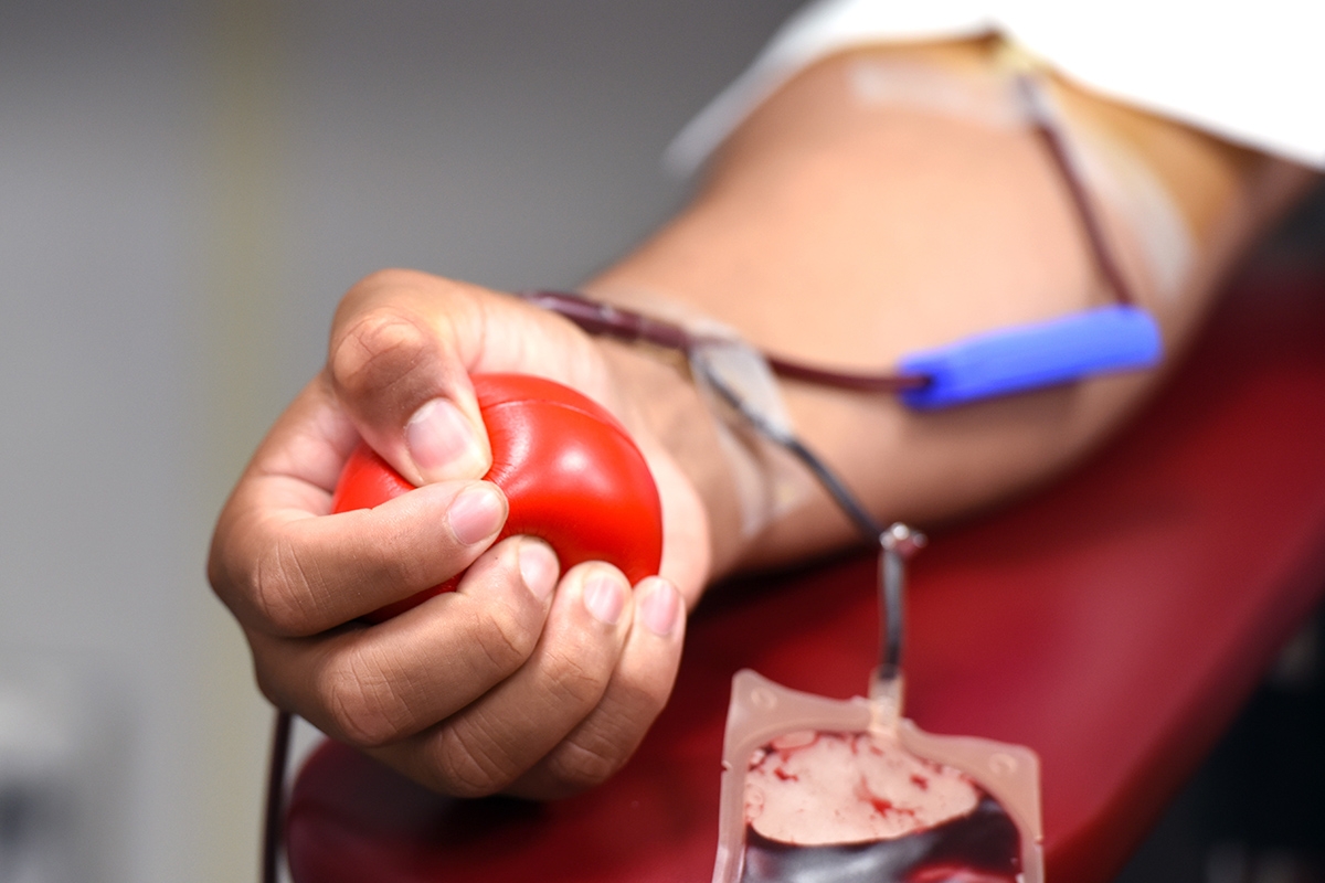 Shopping Jardins recebe ponto do Hemose para a doação de sangue - Foto: Pixabay

