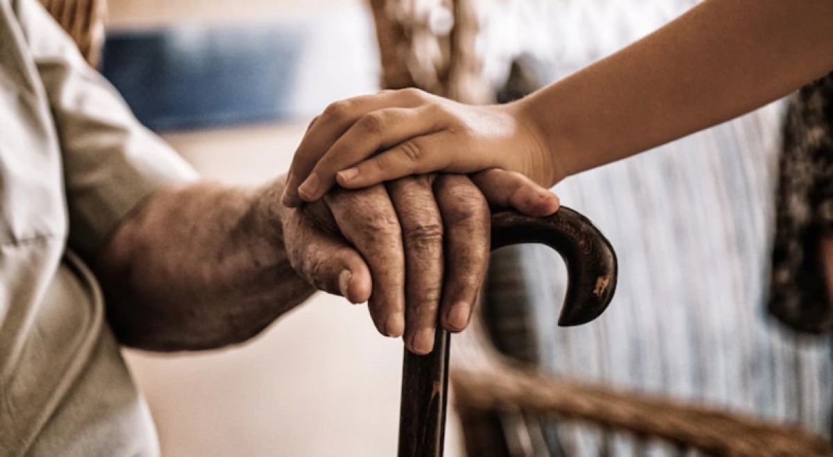 Imagem de mãos de neta e avô para simbolizar o Dia dos Avós - Foto: Imagem ilustrativa/Freepik
