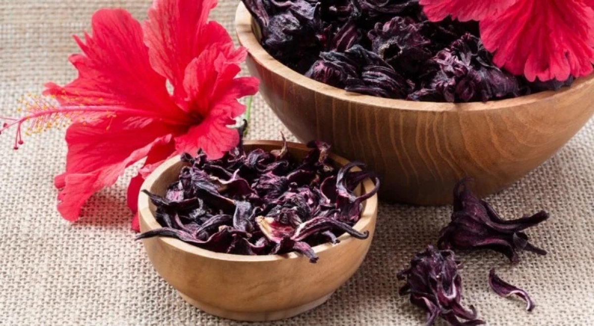 Imagem ilustrativa das flores de hibisco! - Foto: Reprodução/ iStock
