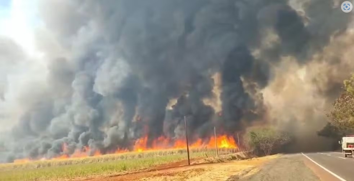 Fogo e fumaça altos impressionam na região de Ribeirão Preto - Foto: Arquivo pessoal

