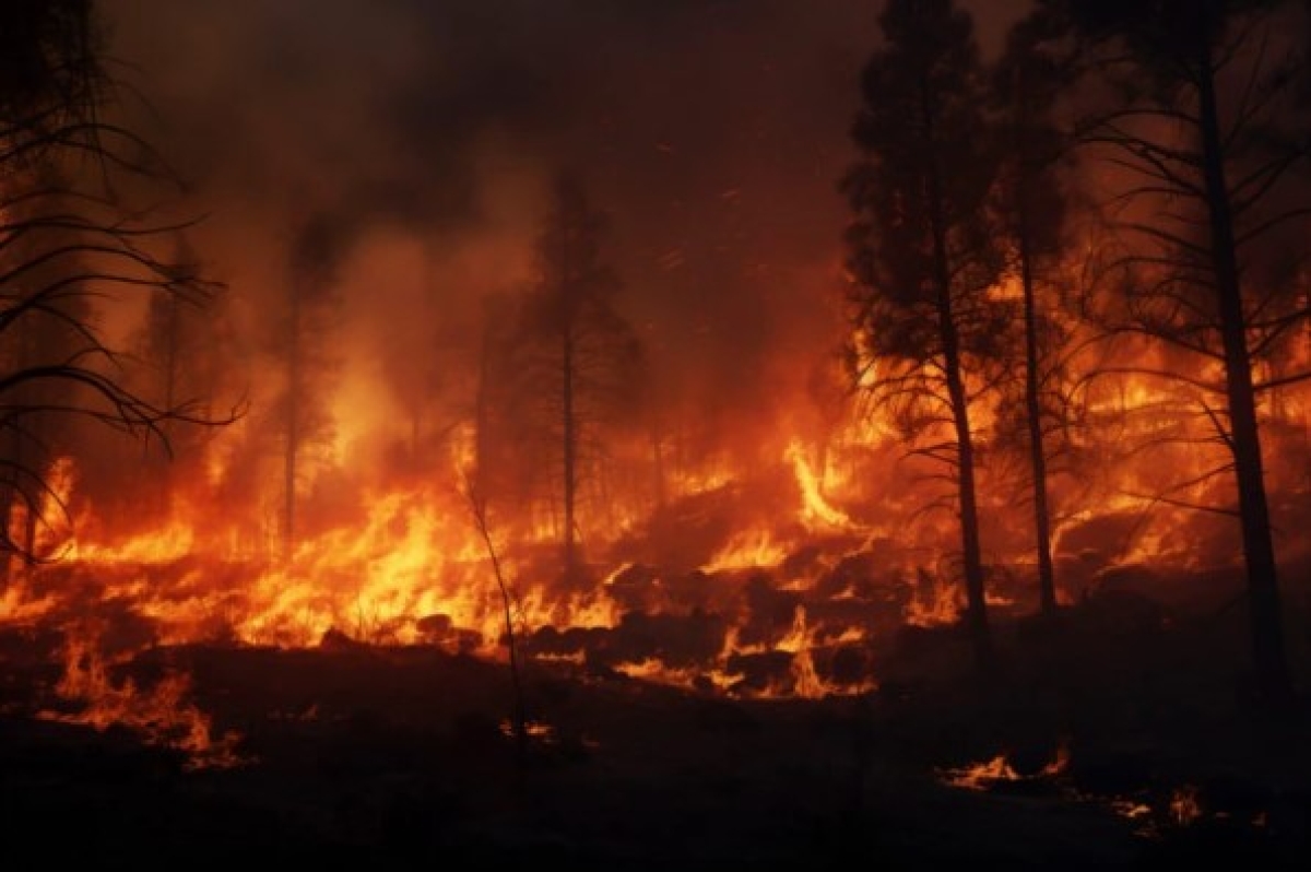 Queimadas (Imagem ilustrativa) - Foto: Freepik