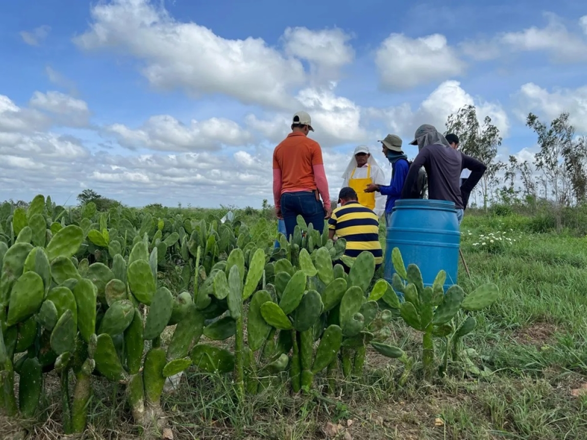 Faese abre processo seletivo para diversas áreas com inscrições até 25 de setembro - Foto: Senar Sergipe
