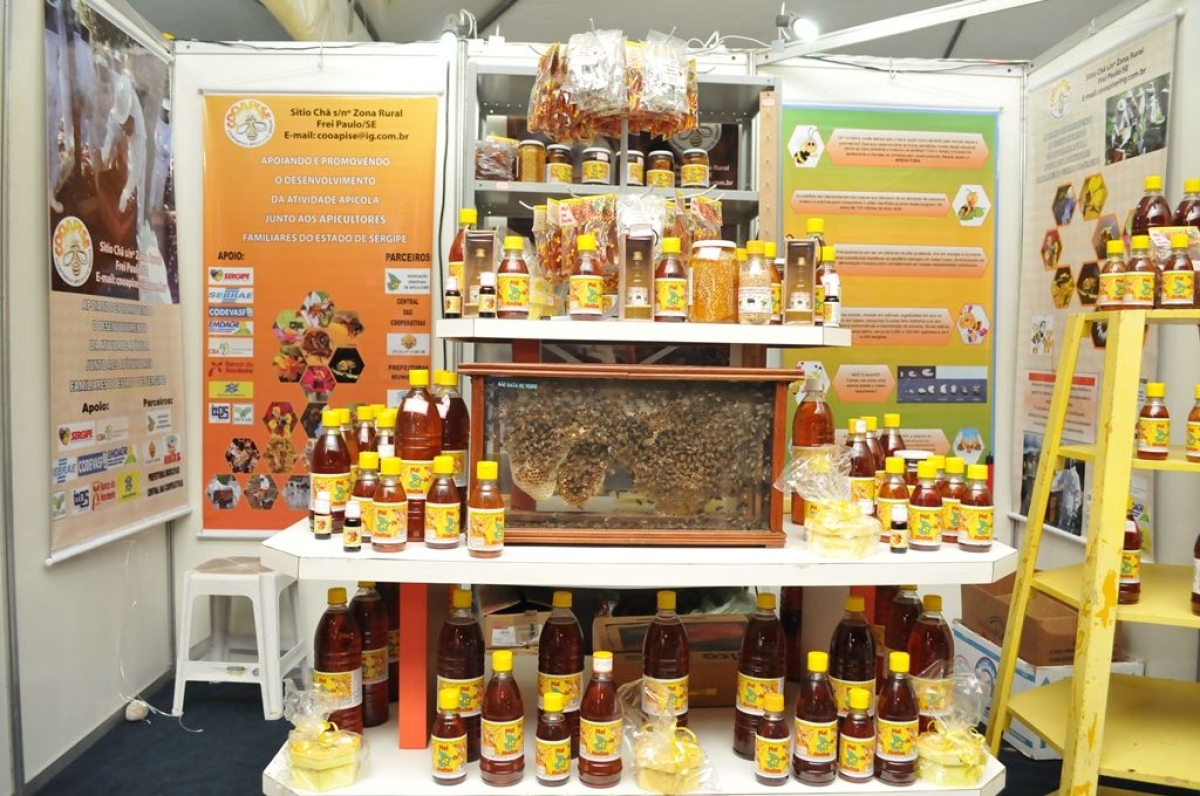 N�o existe crise na apicultura sergipana (Foto: Ascom Sebrae/SE)