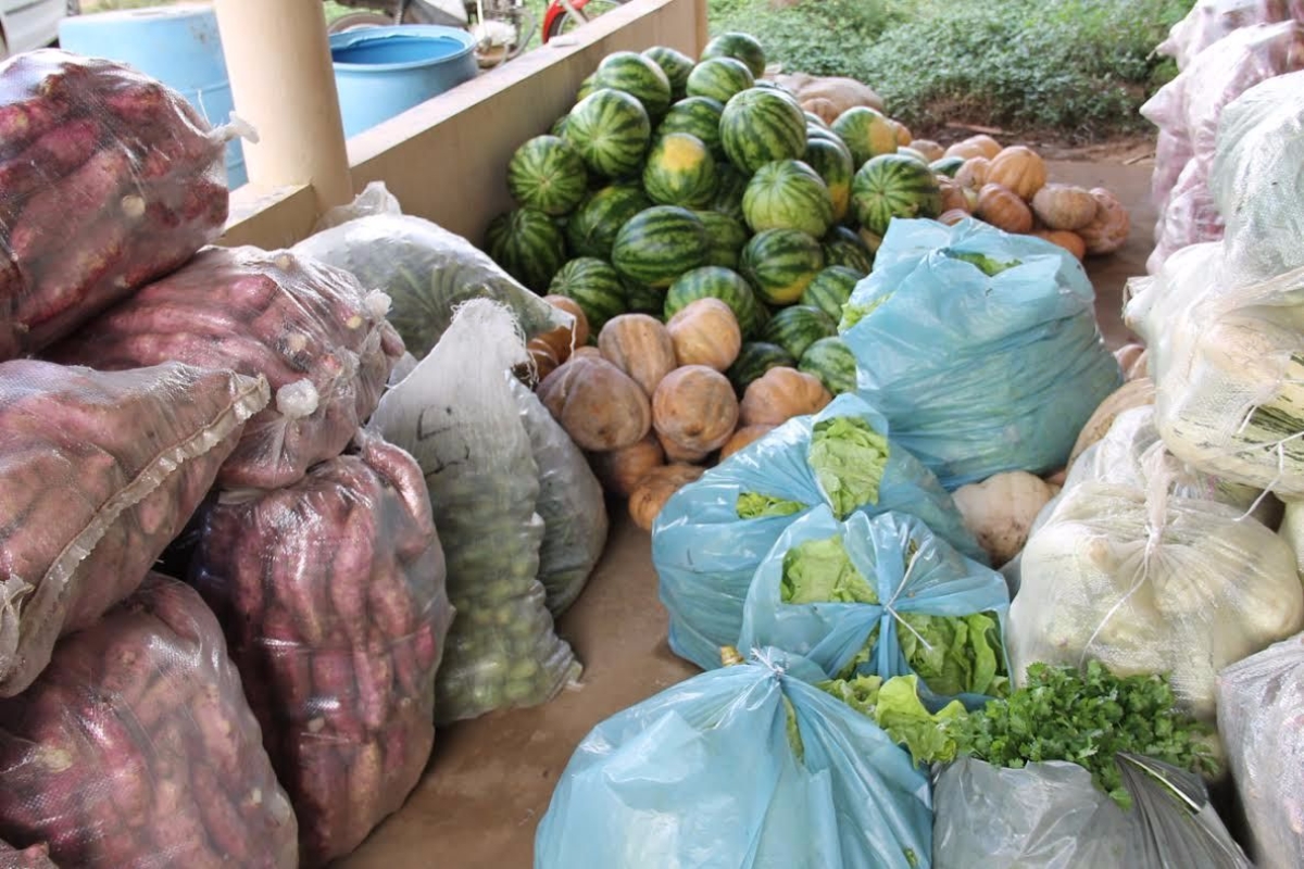 Produtos entregues pelos agricultores da Astrapicica, irrigantes do Jacarecica II, s�o entregues ao CRAS de Areia Branca (Foto: Ariel Carmo/Cohidro/SE)