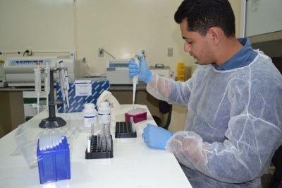 Pesquisas do Lacen e da USP confirmam preval�ncia da circula��o do v�rus Chikungunya em Sergipe (Foto: SES/SE)