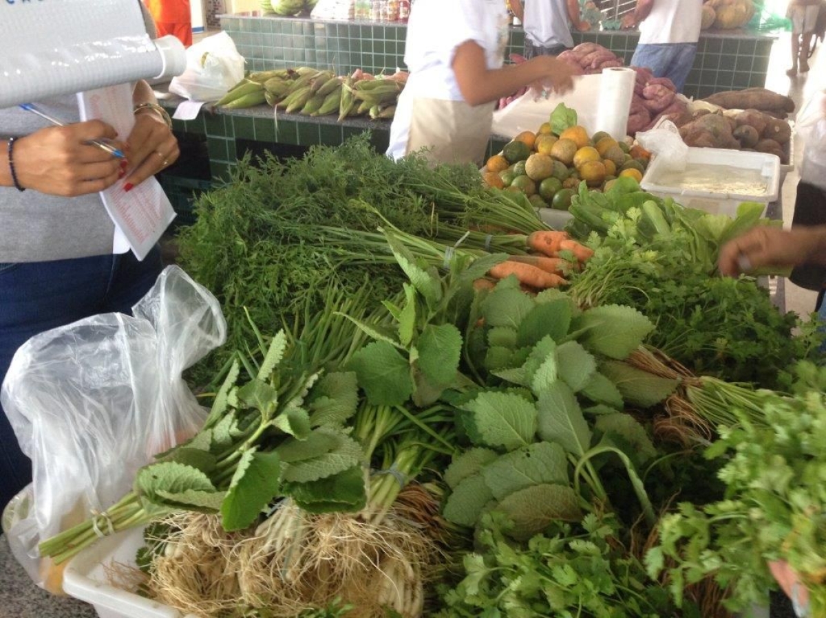 Sergipe: Feira abre oportunidade de comercializa��o para produtores rurais (Foto: Ascom Sebrae/SE)