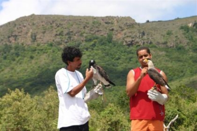 Parque dos Falc�es - Foto: Fernando Cavalcanti